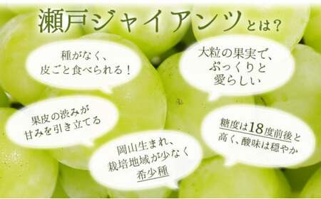 【期間限定】 鏡野町産 瀬戸ジャイアンツ 2kg（2～4房）