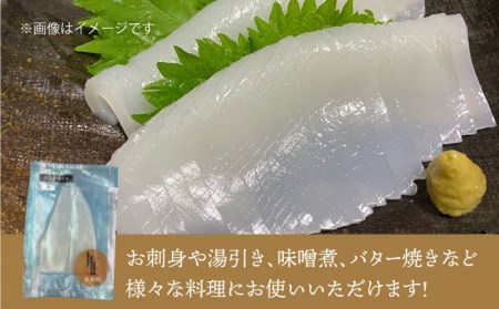 剣先イカ 刺身（中）3杯《壱岐市》【株式会社マルショウ】 いか イカ 剣先いか セット おつまみ [JEW003] 13000 13000円 コダワリイカ・いか こだわりイカ・いか おすすめイカ・いか