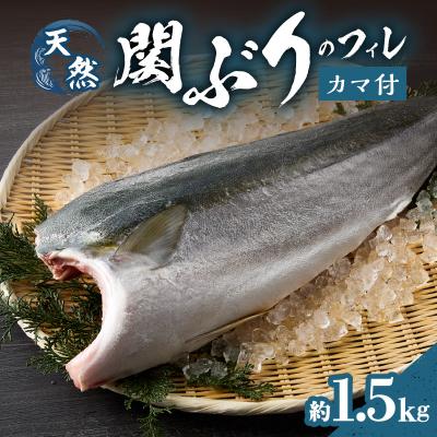ふるさと納税 大分市 関ぶりのフィレ(カマ付) 約1.5kg_E04015