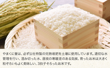 【令和5年産】【九州米・食味コンクール最優秀賞受賞】大分県中津市産 やまくに誉 つや姫 5kg×2袋 お米 精米 白米 熨斗対応可 お米 おいしい米 高評価米 中津市米 大分県米 九州米