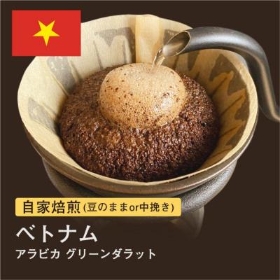 ふるさと納税 堺市 【豆】#172 ベトナム アラビカ グリーンダラット コーヒー豆 310g