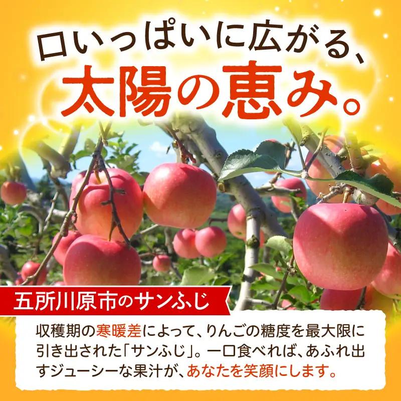 【2027年1月上旬発送】《訳あり》 りんご 約10kg サンふじ 青森産 りんご