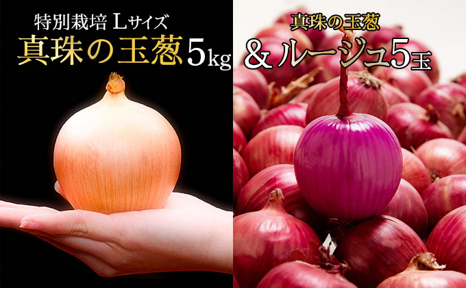 真珠の玉葱 特別栽培 L～L大サイズ 5kg (ルージュ5玉入り) ＜海のミネラルで育てた特別栽培玉葱＞｜玉ねぎ たまねぎ タマネギ 北海道産 岩見沢市【a134-008】【50108】 5kg+ルー