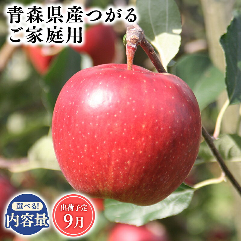 【ふるさと納税】2025年度産 先行予約!≪内容量が選べる≫青森県産 訳あり つがる 3kg 5kg 10kg【青森県 平川市 そと川りんご園】9月発送 家庭用 青森 青森県産 平川 りんご リンゴ 林檎 くだもの 果物 フルーツ レビューキャンペーン