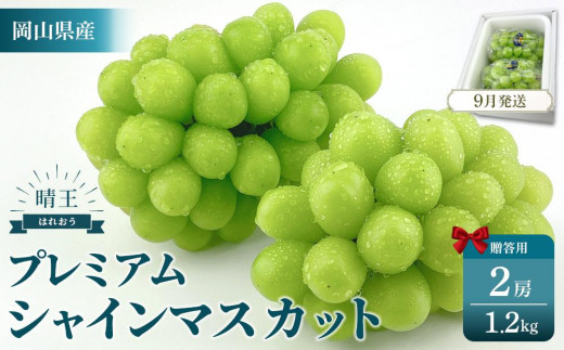 2026年予約受付中  プレミアム　シャインマスカット　晴王 2房　約1.2kg　人気　岡山県産　赤秀品  種無し　皮ごと食べる　みずみずしい　9月～10月お届け　フレッシュ　晴れの国　おかやま　果物大国　贈答品 彩美菜果 岡山県 岡山市 おすすめ 人気