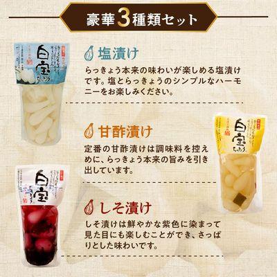 ふるさと納税 南九州市 鹿児島県産砂丘らっきょうプレミアムセット |  | 01