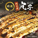 【ふるさと納税】特選明石産炭焼き穴子（タレ2個付き）　【うなぎ・鰻・魚貝類・加工食品】