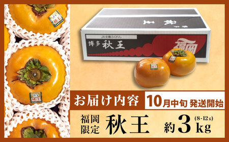 【2025年10月中旬より順次発送】福岡産ブランド 秋王柿 約3kg(8-12玉) 吉富町/南国フルーツ株式会社[BGAG016]