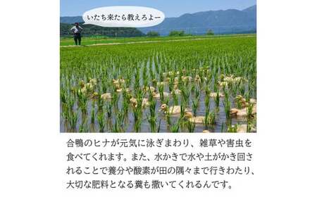 【令和6年産予約】【希少品種】特別栽培米　夢まどか10㎏