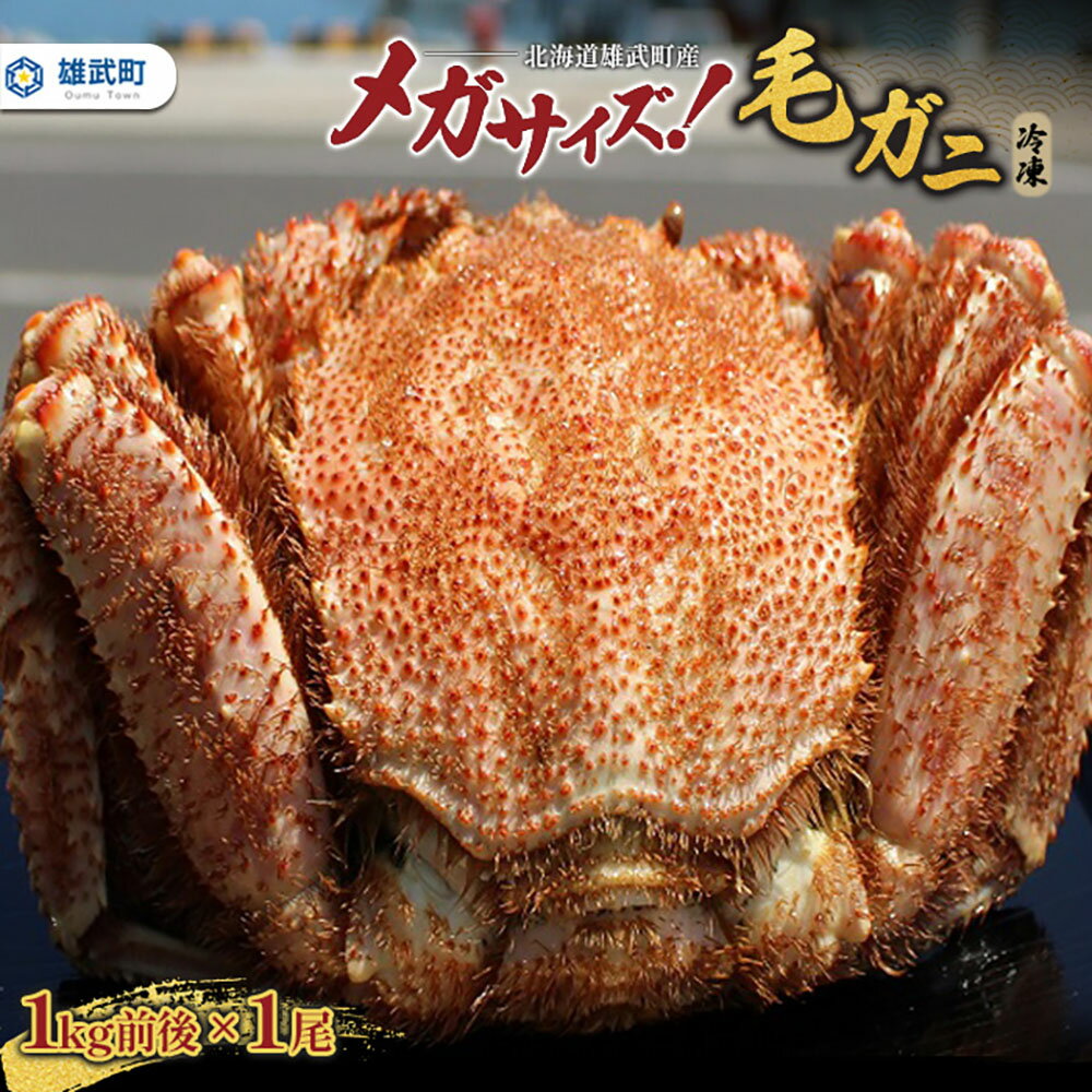 【ふるさと納税】北海道雄武町産メガサイズ！毛ガニ(冷凍)1kg前後×1尾【12029AA0101】
