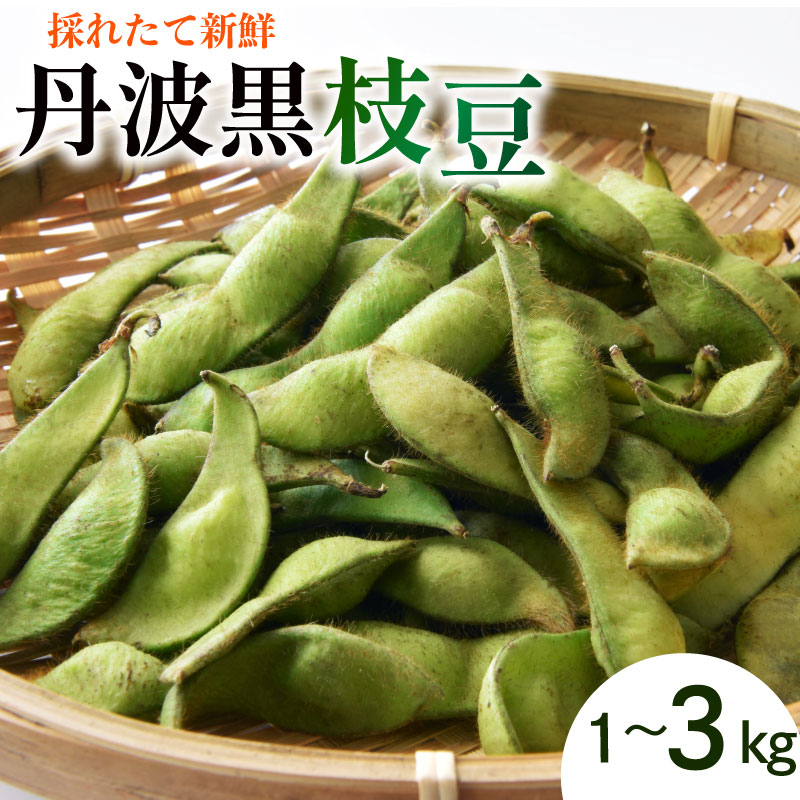 【ふるさと納税】 枝豆 1 ~ 3 kg 野菜 丹波黒枝豆 枝豆 黒大豆 丹波黒 枝豆 旬 採れたて 産地直送 枝豆 おつまみ ヤサイ やさい 食材 新鮮 滋賀県 竜王町 送料無料 竜王産 期間限定 食材 新鮮 旬 産地直送 滋賀県 竜王町 送料無料 竜王産
