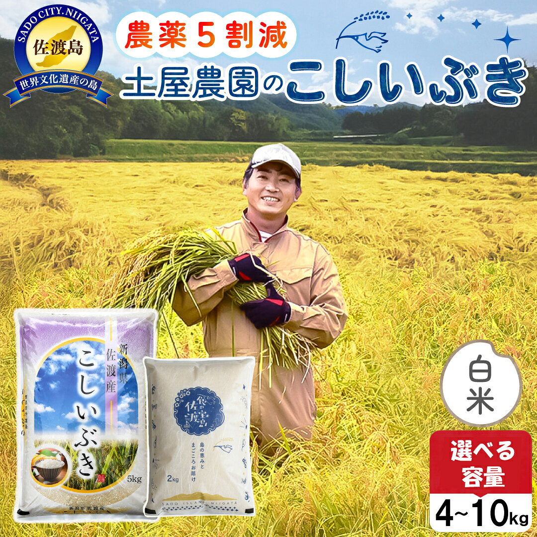 【ふるさと納税】米 こしいぶき 新潟 4kg 5kg 10kg 選べる容量 令和7年産 白米 精米 農薬5割減 佐渡島産 土屋農園 注文後精米 農家直送 新潟県産 こめ コメ ブランド米 おすすめ お取り寄せ ごはん チャーハン 丼もの おにぎり お弁当 新潟県 佐渡市