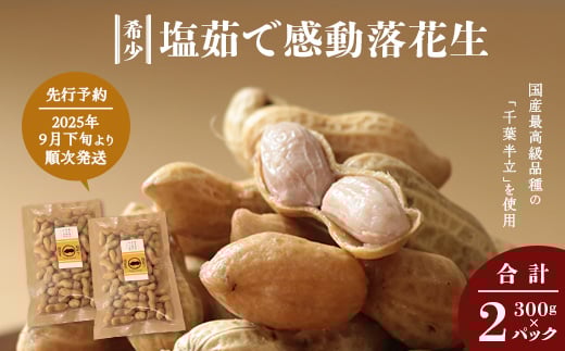 
            【先行予約 2025年9月下旬～順次発送】 鹿児島県産 塩茹で希少落花生 300g×2パック 冷凍 | ラッカセイ ピーナッツ 国産 国産最高級品種 千葉半立 大粒 柔らかい 歯ごたえ おやつ おつまみ ギフト お中元 お歳暮 鹿児島県 南大隅町 株式会社フォレスト AX7506
          