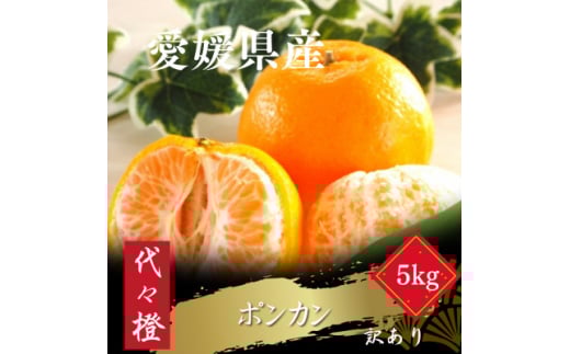 ＜濃厚な甘さ＞＜訳あり＞ポンカン 5kg＜C83-15＞【1549105】