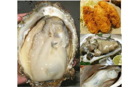 1014.鳥取県産　天然岩ガキ『夏輝』　特大サイズ3個（500g以上×3個） 牡蠣 カキ※着日指定不可※2025年6月上旬～8月中旬頃に順次発送予定