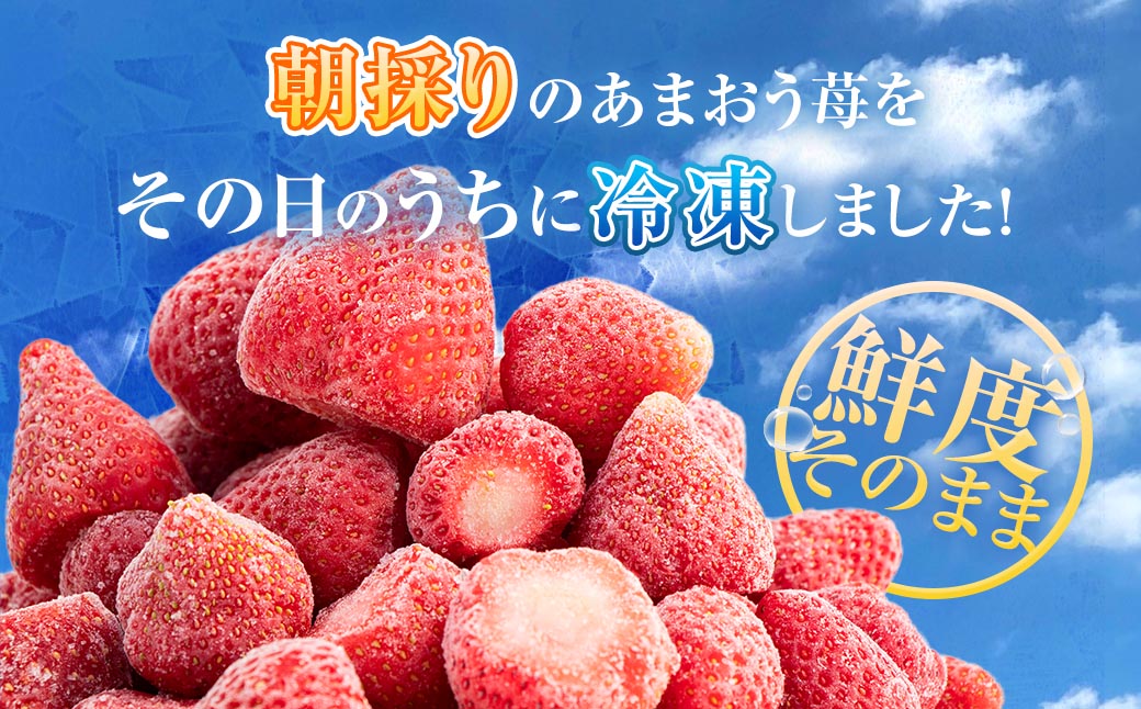【特別栽培】うるう農園 冷凍あまおう 2kg あまおう イチゴ いちご 苺 フルーツ 果物【2027年1月上旬発送開始】