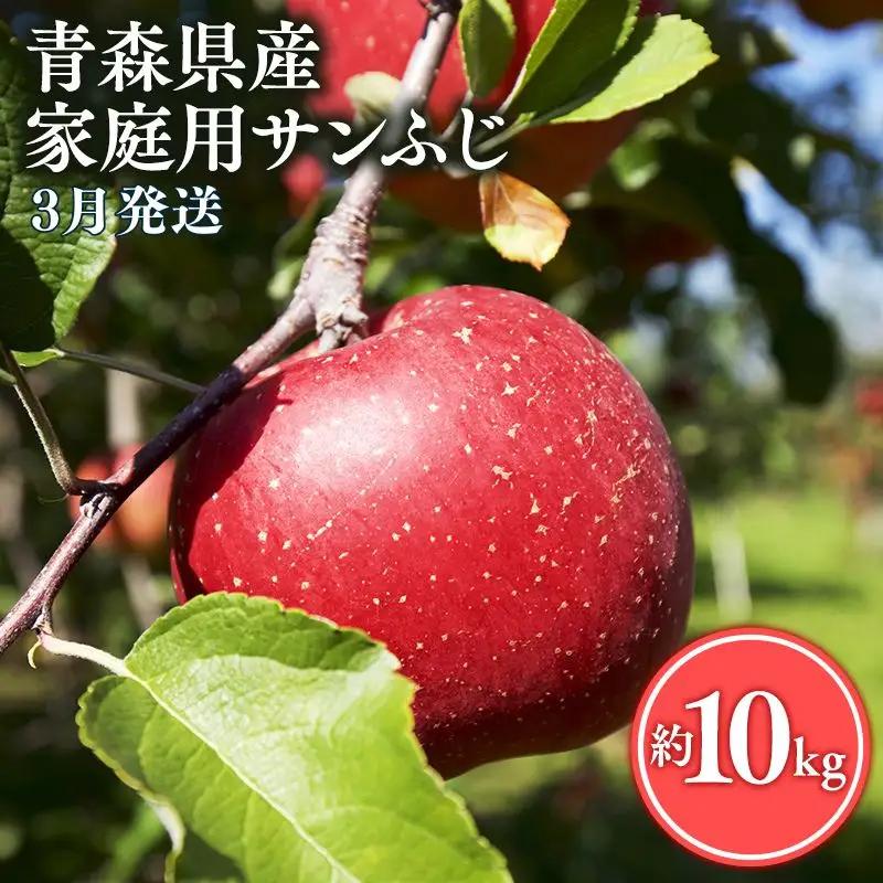 3月発送 訳あり サンふじ 10kg