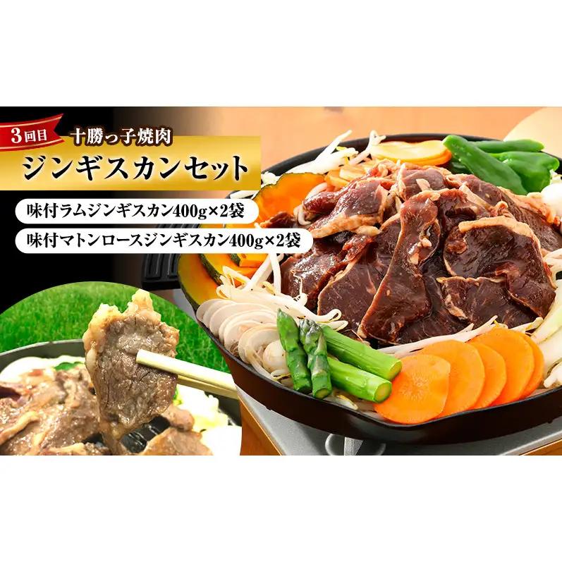 定期便 全3回 北海道産 豚肉 牛肉 セット ハンバーグ