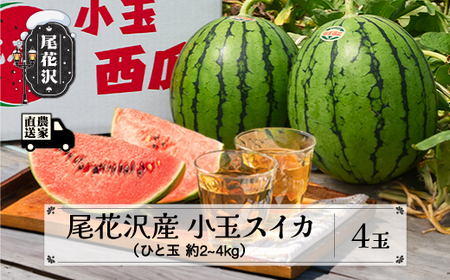 先行予約 スイカ すいか 尾花沢産小玉スイカ 約2~4kg×4玉 7月中旬～8月上旬頃発送 尾花沢 すいか スイカ 小玉すいか 令和7年産 2025年産 観光物産 kb-sukxx4-7b