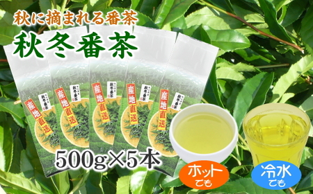緑茶 番茶 500ｇ×5本 お茶のミズイ園 【緑茶】