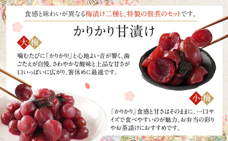 ちくほくのうめ想い 四宝の膳｜ うめ 甘漬け 大梅 小梅 塩昆布漬け  梅干し きゅうり 佃煮