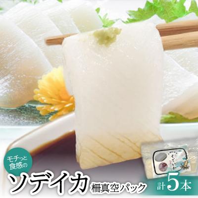 ふるさと納税 今帰仁村 モチっとした新食感!ソデイカ柵真空パック 200〜250g×5本
