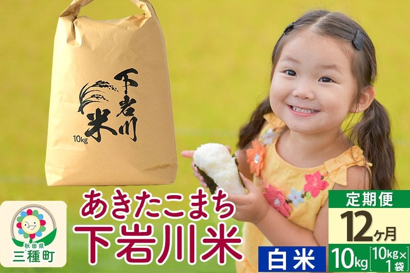 
            【R8年新米予約】 《12ヶ月定期便》【白米】あきたこまち 10kg (10kg×1袋) 秋田県三種町産 令和8年産 下岩川米
          