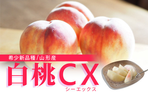 
                  《先行予約 2026年9月下旬発送》山形県産 白桃CX 秀品 2.5kg  もも モモ 桃 デザート フルーツ 果物 くだもの 果実 食品 山形県 FSY-0582
                
