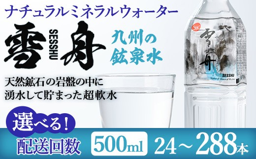 
                  ＜内容量・お届け回数が選べる＞ナチュラル ミネラル ウォーター 雪舟 500ml (計24本～288本) 定期便 国産 鉱泉水 お水 ドリンク 大自然 天然 料理 健康 維持 防災 常温 保存 単品 3回 6回 12回【HD248・HD249・HD250・HD251】【さいき本舗 城下堂】
                