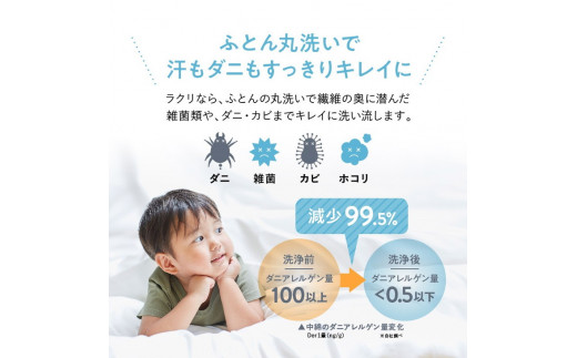 布団クリーニング　掛布団2枚コース（シングルサイズ専用） ※北海道・沖縄・離島への配送不可※着日指定不可