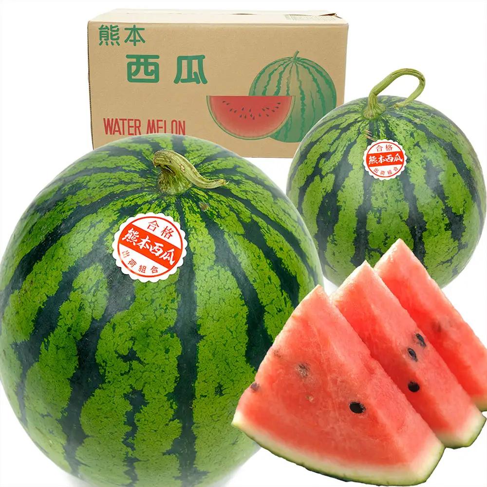 ＜ R8年熊本地震復興支援 ＞熊本県産 大玉スイカ 1玉 （3L以上・約8kg） 【2027年5月上旬～6月下旬迄発送予定】 大玉西瓜 大玉すいか 西瓜 すいか スイカ 果物 果実 フルーツ 大玉 九州 熊本県 熊本市 常温