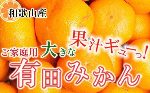［先行予約］家庭用 大きな有田みかん10kg+250g（傷み補償分）［2026年11月中旬から2027年1月末日頃、順次発送予定］［IKE243］