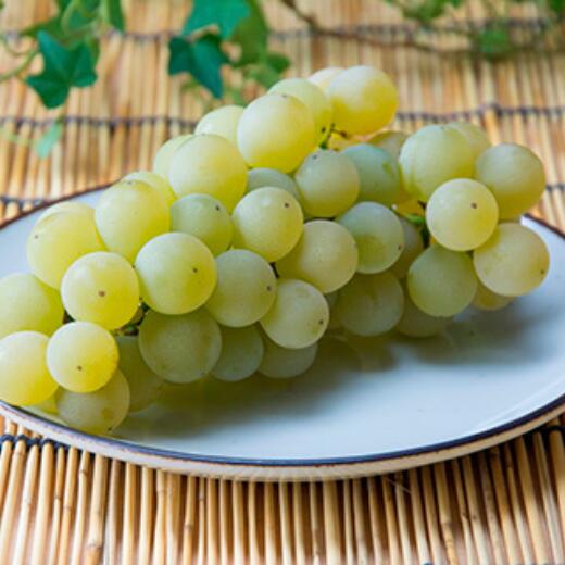 【ふるさと納税】8-011-013　ぶどう（ナイアガラ）2kg（10月～発送）【マルゼン佐藤果樹園】　果物・ぶどう・フルーツ・果物類・フルーツ　お届け：10月発送　※収穫状況により前後あり