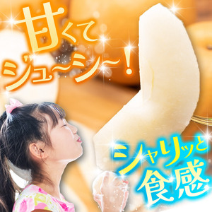 【栃木県共通返礼品】【2025年先行予約】にっこり 約3kg |にっこり 梨 なし ナシ 新品種 先行予約 大粒 新鮮 甘い 美味しい 果物 くだもの フルーツ ふるーつ 共通返礼品 フルーツ デザー