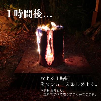 ふるさと納税 能代市 秋田杉のスウェーデントーチ「燃え杉くん(もえすぎくん)」[No.5335-0253] |  | 02