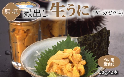
S002-024_殻出し生うに（ガンガゼウニ）50g×2本 うに用醤油付
