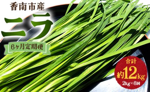 6ヶ月定期便 香南市産 ニラ 合計約12kg（2kg×6回）- にら 韮 香味野菜 やさい 葉物 新鮮 生 料理 もつ鍋 餃子 饅頭 キムチ チヂミ 炒め物 おひたし 国産 肉厚 Won-0018