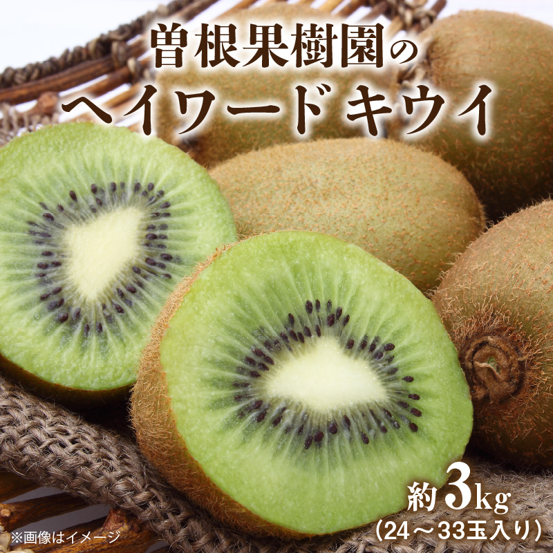 M02-0015_【ふるさと納税】【配送不可地域：北海道・沖縄県・離島】曽根果樹園のヘイワードキウイ約3ｋｇ（24～33玉入り）  秋 旬