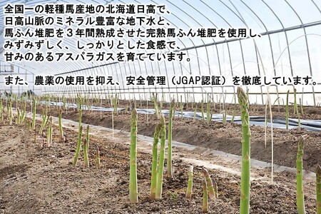 ＜2026年4月上旬より順次発送＞ 北海道産 春採り ムラサキ アスパラガス 1kg 2Lサイズ ＜予約受付＞