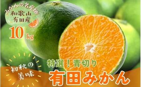 【先行予約】【2025年9月中旬～10月中旬頃発送予定】【初秋の美味】【農家直送】特選!青切り有田みかん10kg　【ard233】
