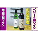 【ふるさと納税】【山梨県産100%】甲州白ワイン・ベーリーA赤ワインセット(信天翁・峨眉) [5839-1185]　【お酒・ワインセット・白ワイン・お酒・赤ワイン・お酒】