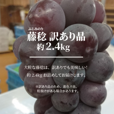 【きよとうファーム】訳あり 種なし ボッケーネ(藤稔) 約2.4kg (岡山県産)【配送不可地域：離島】