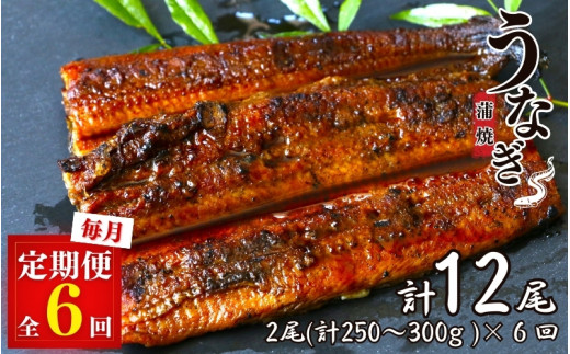 【6カ月定期便】うなぎ蒲焼き2本セット×6回 / 和歌山 田辺 うなぎ 鰻 かば焼き うな丼 うな重 国産 鰻丼【kpy016-tk】