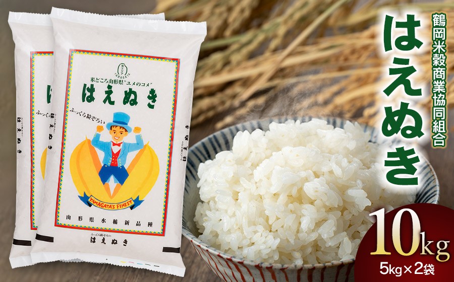 【令和7年産】 はえぬき10kg (5kg×2) 山形県庄内産　鶴岡米穀商業協同組合 |  精米 東北 山形 鶴岡 国産 ブランド米 米どころ 庄内米 粒がしっかり ご飯 おにぎり 冷めても美味しい 
