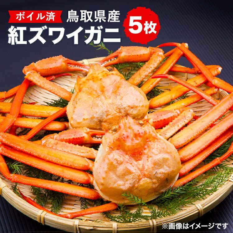 【ふるさと納税】鳥取県産 ボイル紅ズワイガニ5枚セット※着日指定不可※離島への配送不可※2026年2月上旬～4月下旬頃に順次発送予定 | 蟹 かに 紅ズワイガニ ボイル タグ付き 鳥取県産 北栄町 おすすめ 人気