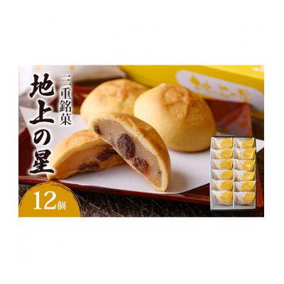 ふるさと納税 津市 [53720331]三重銘菓「地上の星」12個入