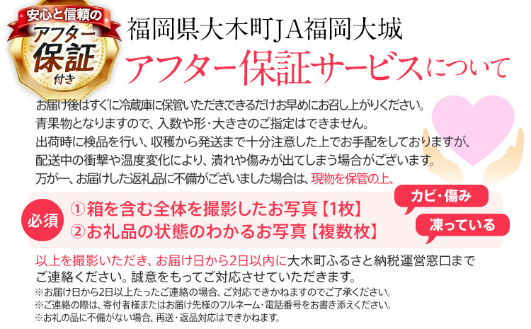 【定期便】博多あまおう 福岡県JAグループのブランドあまおういちご 1080g（約270g×4パック）×2回 ※2月・3月お届け アフター保証 いちご 博多あまおう 2025年先行予約受付 おすすめ 大木町 JA福岡大城 フルーツ 果物 AG013