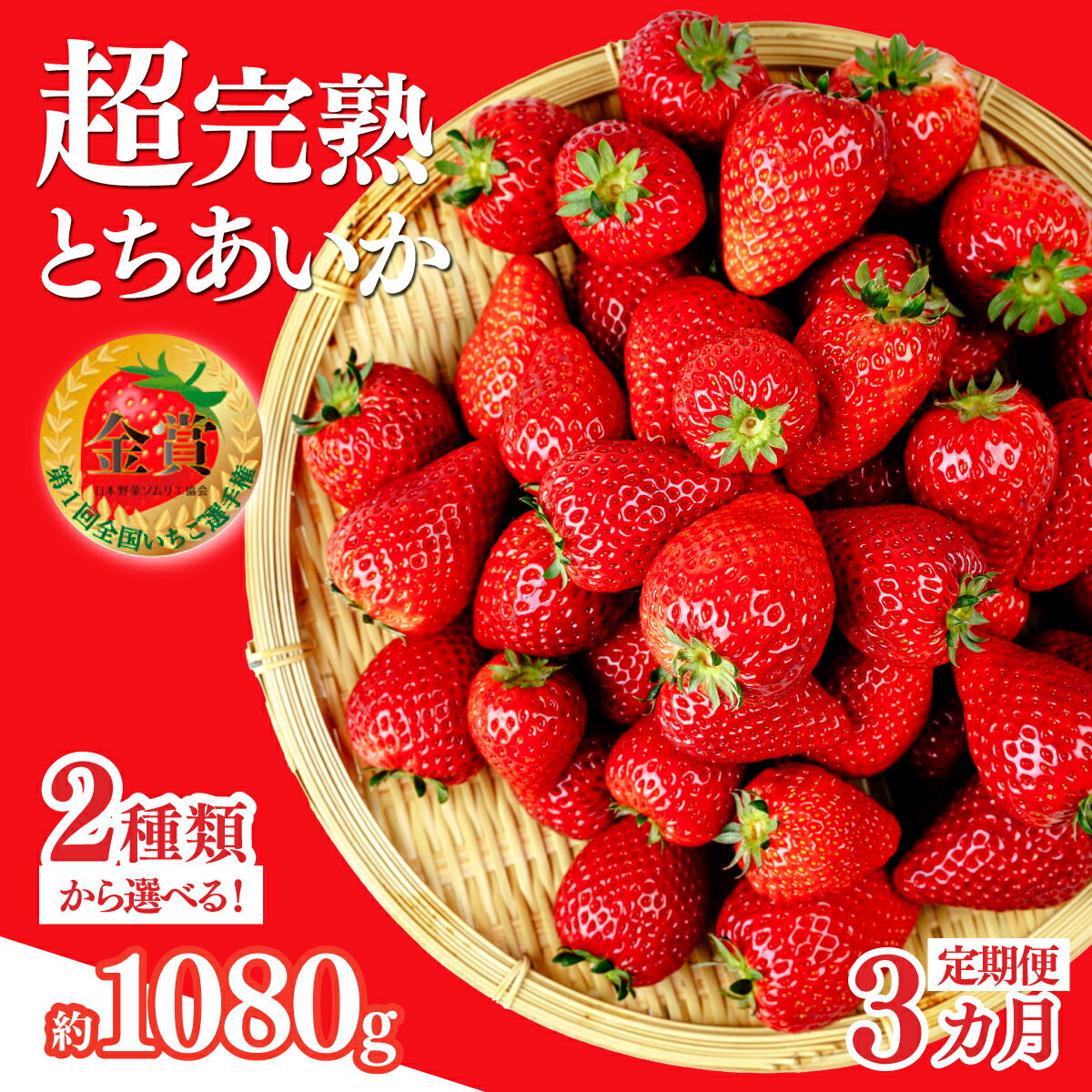 【ふるさと納税】＜定期便3回＞いちご「茂木完熟いちご」いちご選手権金賞農園の朝採れ とちあいか レギュラー or 大粒 | いちご イチゴ 苺 とちあいか 完熟 果物 フルーツ くだもの 旬 産地直送 栃木県産 美土里農園 栃木県 茂木町