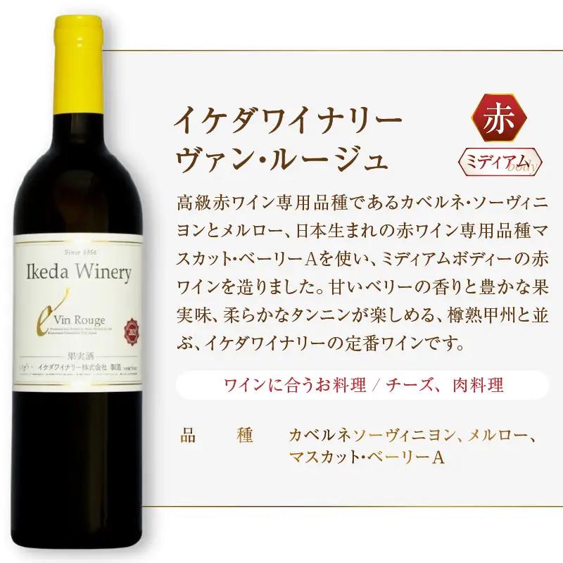 ワイン イケダワイナリー 2本セット【ヴァン・ルージュ / ヴァン・ロゼ】（MG）B12-675