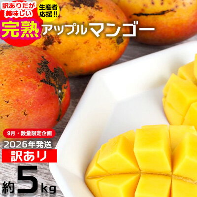 【ふるさと納税】【9月・数量限定企画】【2026年発送】生産者応援！！訳ありだが美味しい完熟アップルマンゴー約5kg　農園直送！ 訳アリ 先行予約 沖縄 甘味 糖度 濃厚 美味しい お取り寄せ おいしい ふるさと納税 とろける甘さ 香り アーウィン 果汁 送料無料 箱入り